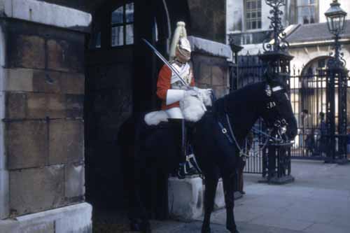Queens Horse Guard